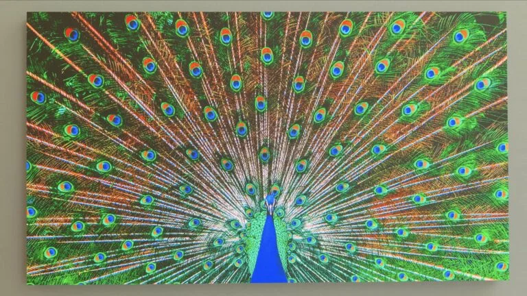 LG – LED Wall Entré